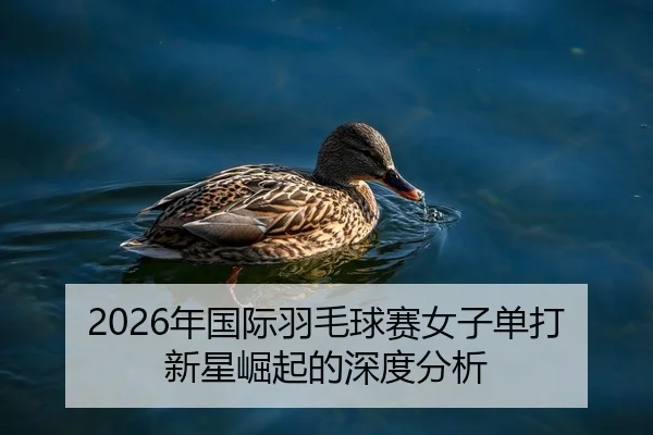 2026年国际羽毛球赛女子单打新星崛起的深度分析