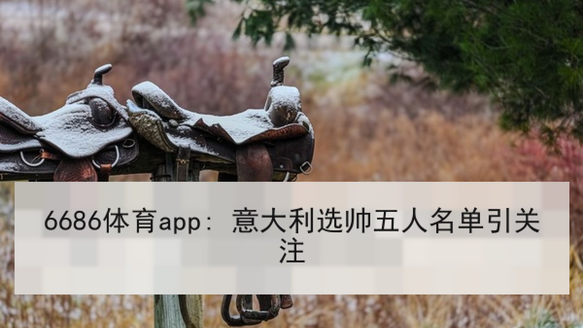 6686体育app: 意大利选帅五人名单引关注